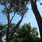 Relais Sofia Villa