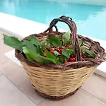 Relais Sofia Villa *