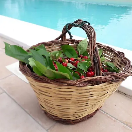 Relais Sofia Villa *